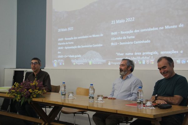 seminario-002 seminario-002