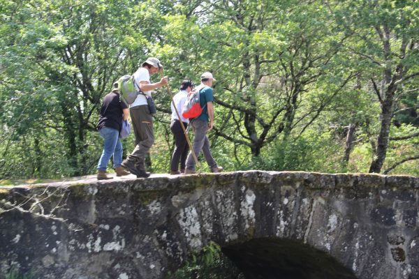 seminario-004 seminario-004