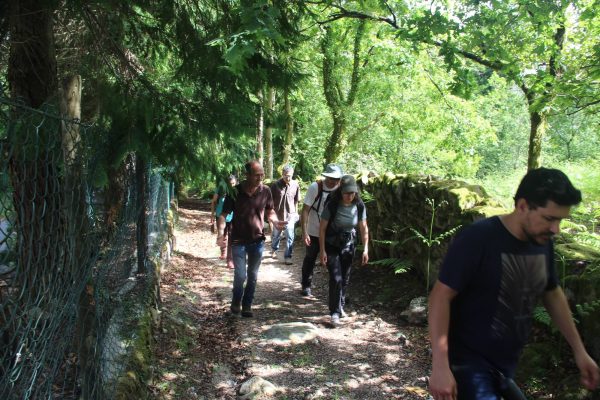 seminario-005 seminario-005