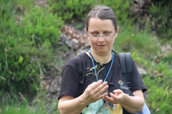 seminario-006 seminario-006