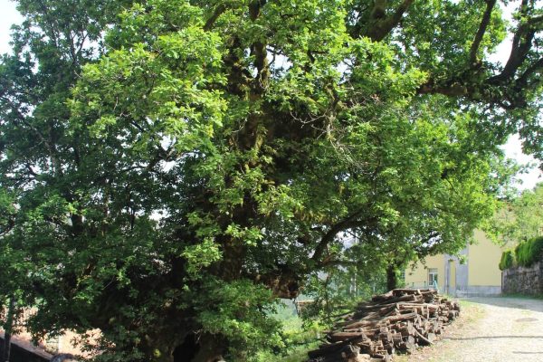 seminario-008 seminario-008