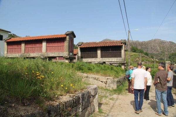 seminario-011 seminario-011