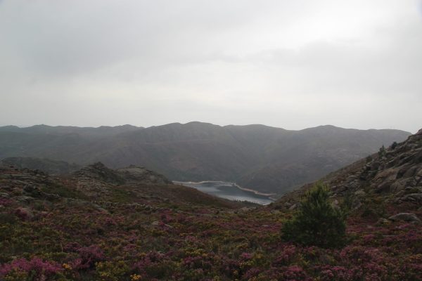 seminario-21-004 seminario-21-004