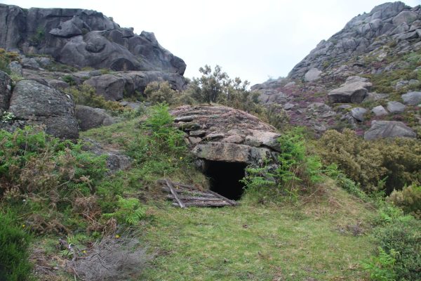 seminario-21-008 seminario-21-008