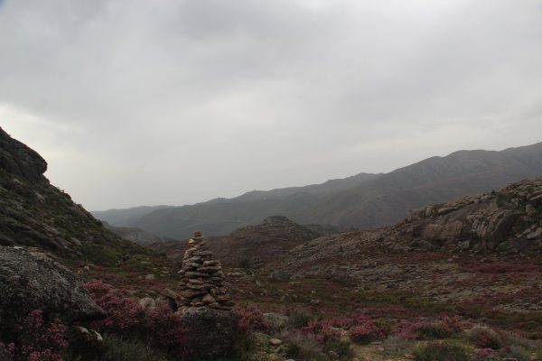 seminario-21-013 seminario-21-013