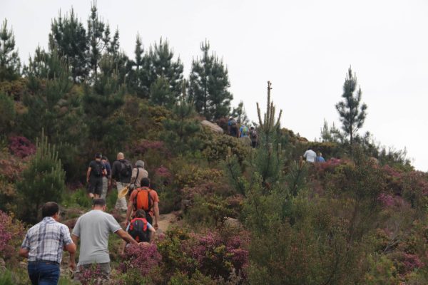 seminario-21-015 seminario-21-015