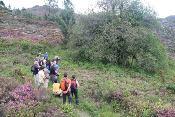 seminario-21-017 seminario-21-017